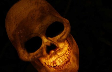 Hodeskalle Fare Rasisme Vold