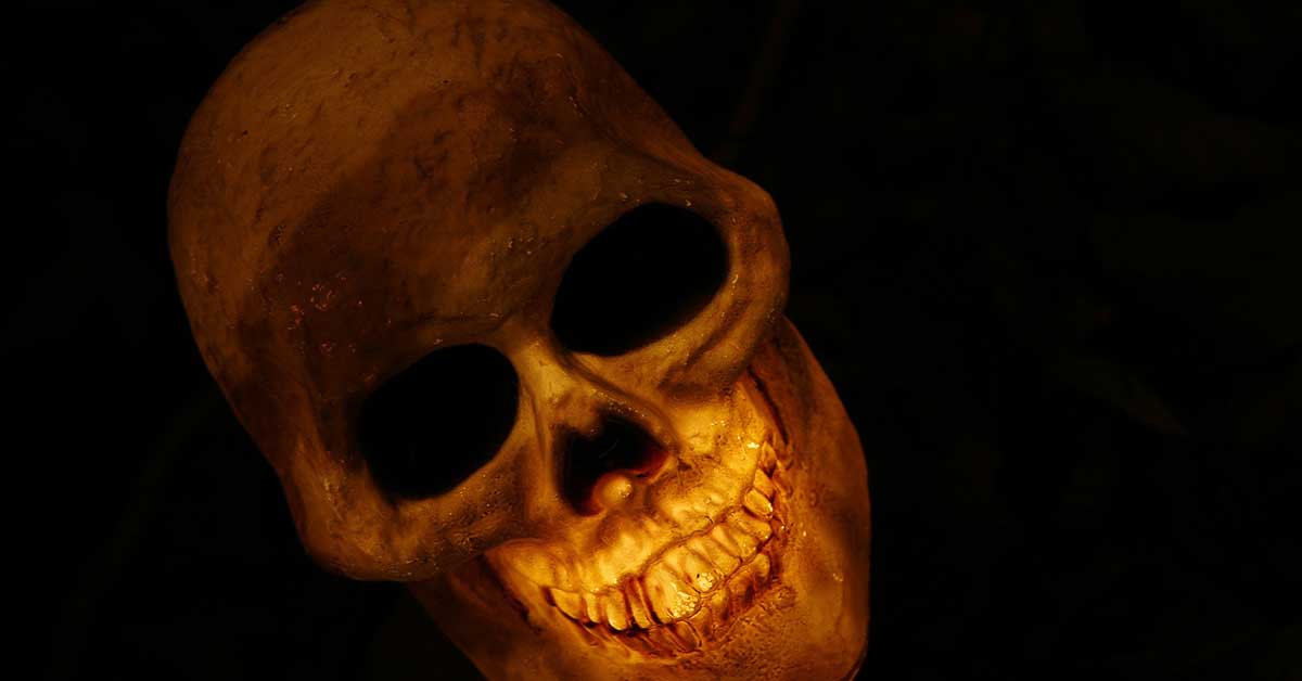 Hodeskalle Fare Rasisme Vold